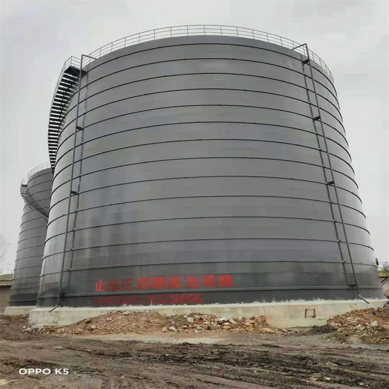 颍上3万吨大型钢板库