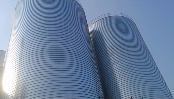 颍上2座混凝土高架卷板仓